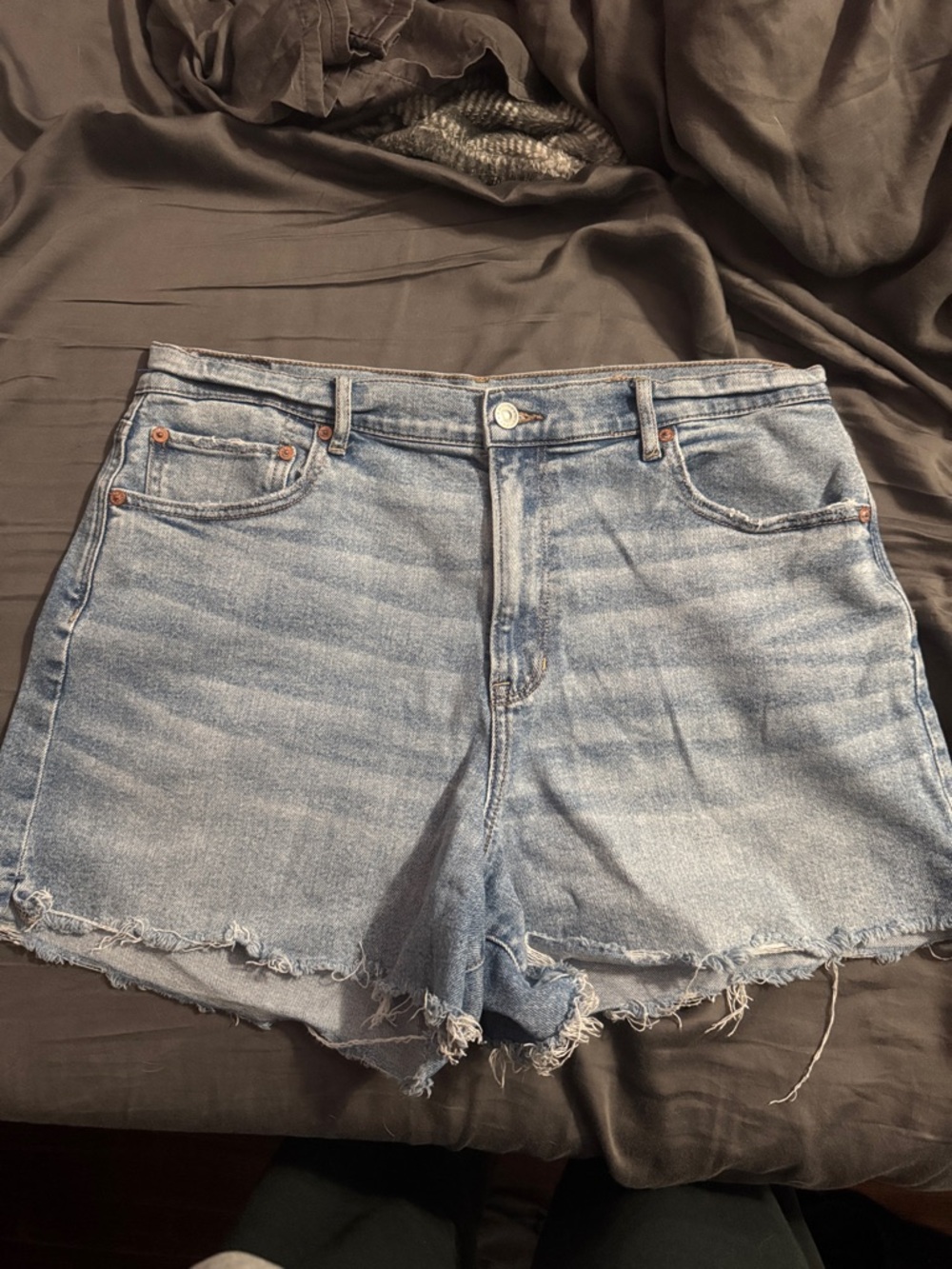 American Eagle Outfitters Light Blue Denim Cutoff Shorts